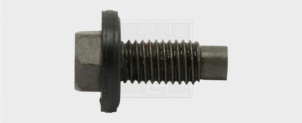 Screw Plug, oil sump (2431217516)