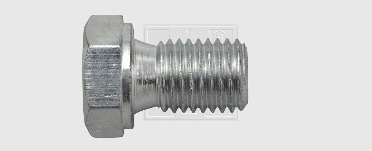 Screw Plug, oil sump (243121516)