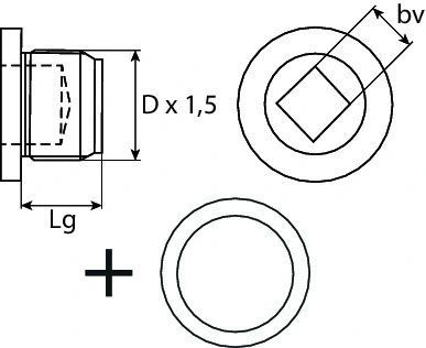 Screw Plug, oil sump