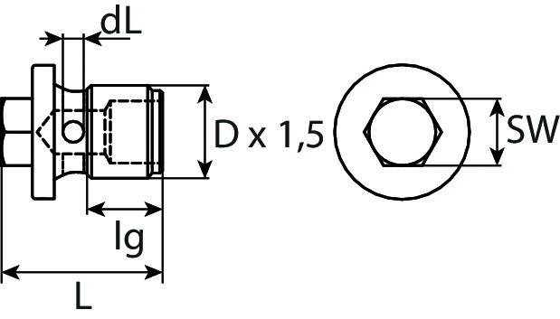 Screw Plug, oil sump