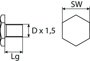Screw Plug, oil sump (24100100216)