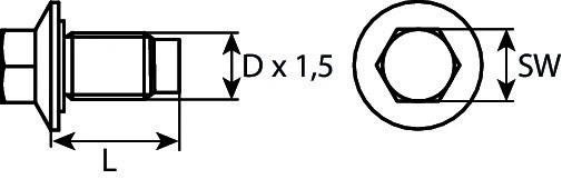 Screw Plug, oil sump