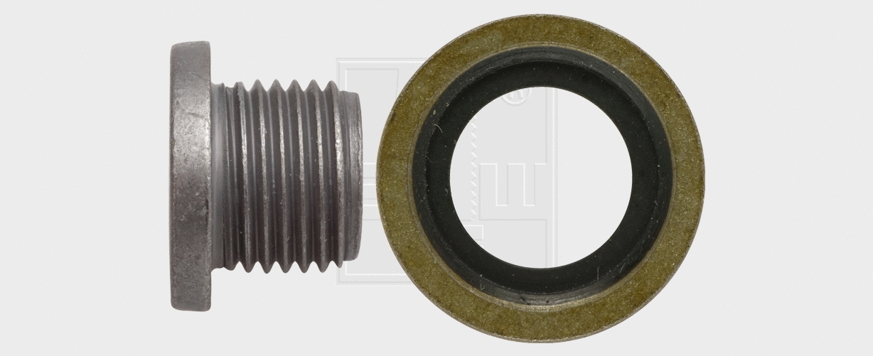 Screw Plug, oil sump