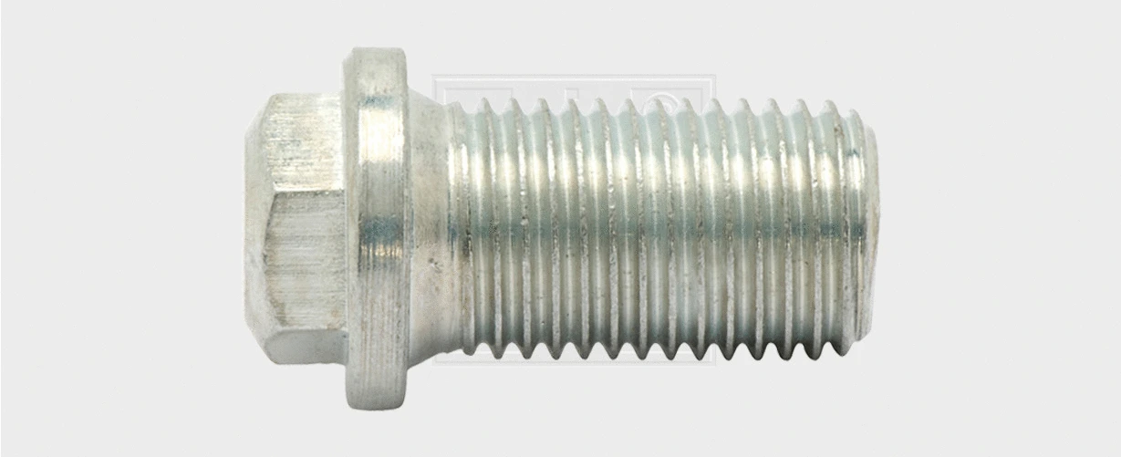 Screw Plug, oil sump (2421141580)