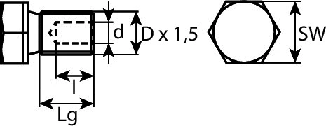 Screw Plug, oil sump