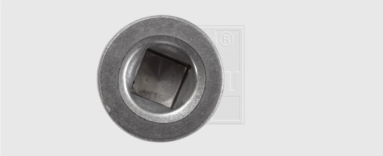 Screw Plug, oil sump (243161580)