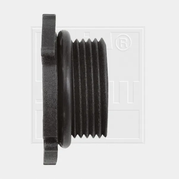 Screw Plug, oil sump (24300102880)