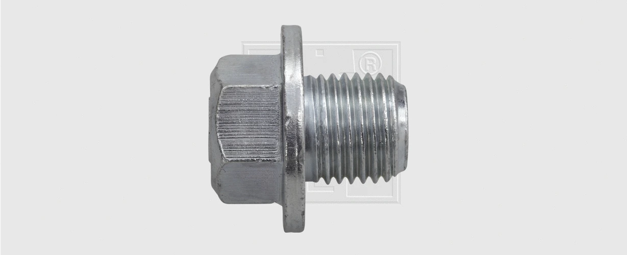 Screw Plug, oil sump (24300100816)
