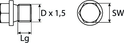 Screw Plug, oil sump