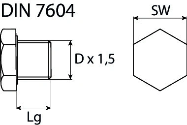 Screw Plug, oil sump