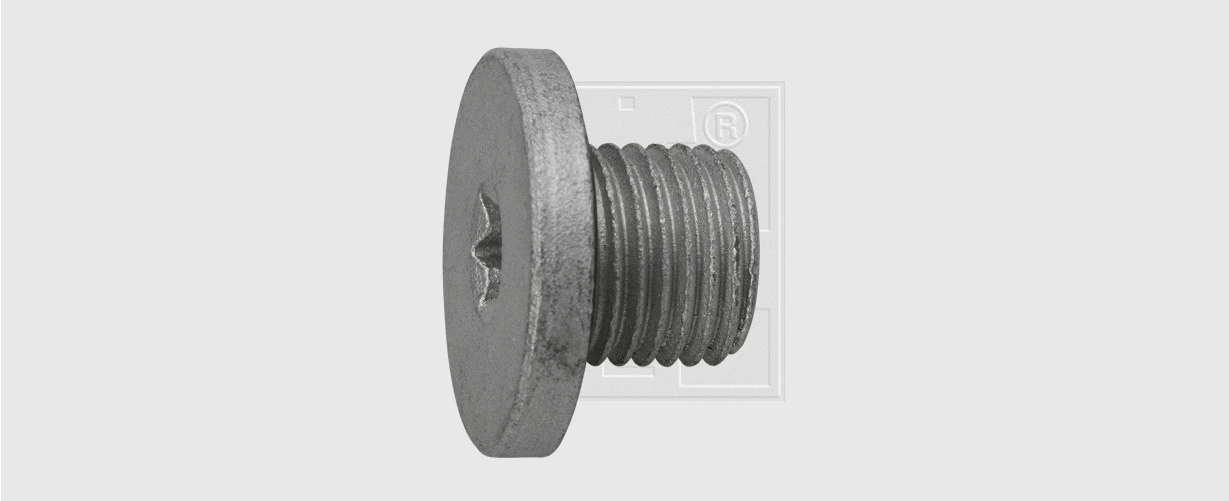 Screw Plug, oil sump (2411415116)