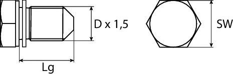 Screw Plug, oil sump