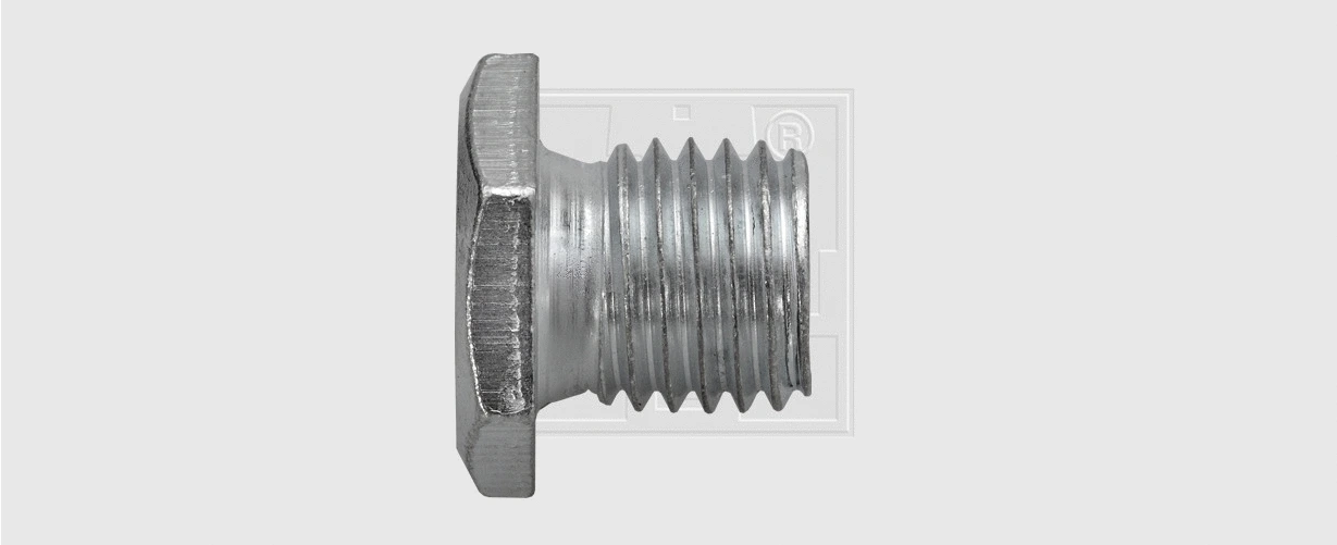 Screw Plug, oil sump (24111211580)