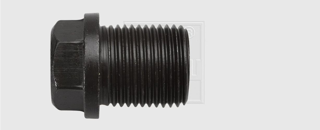Screw Plug, oil sump (24300101916)