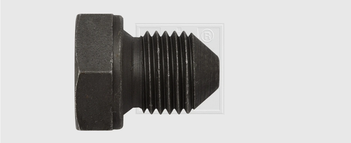 Screw Plug, oil sump (24000100316)