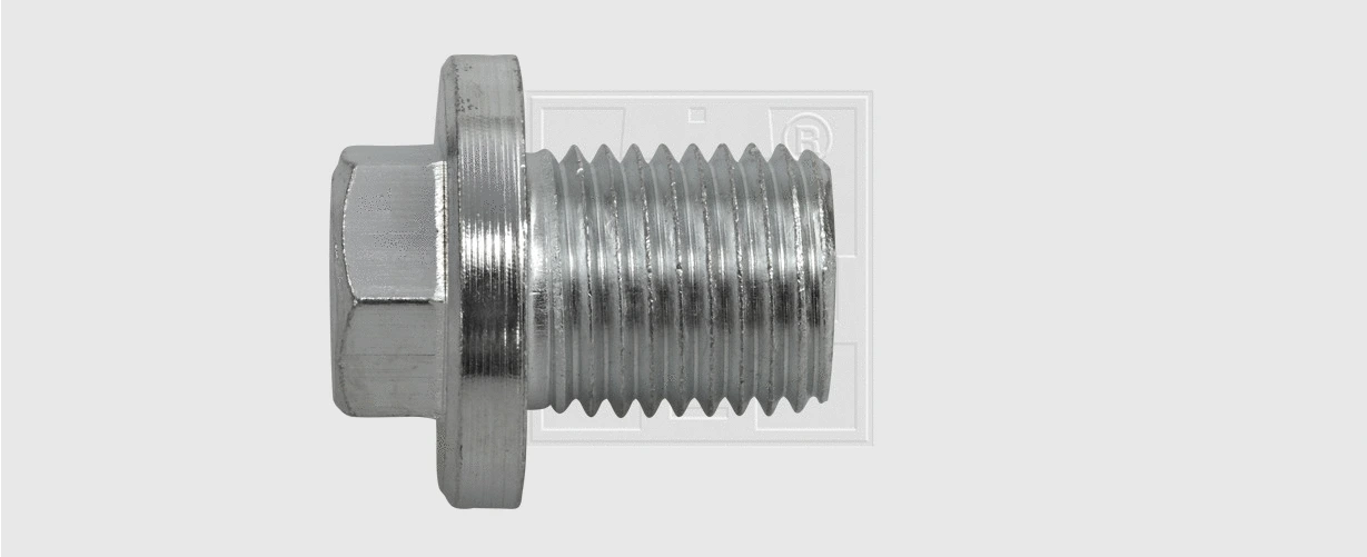 Screw Plug, oil sump (243141516)