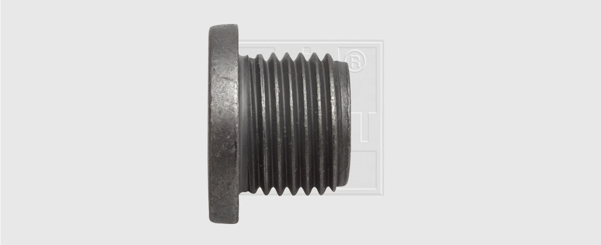 Screw Plug, oil sump (24300102016)