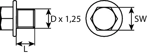 Screw Plug, oil sump