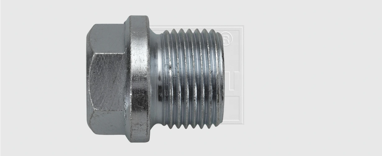 Screw Plug, oil sump (24313400180)