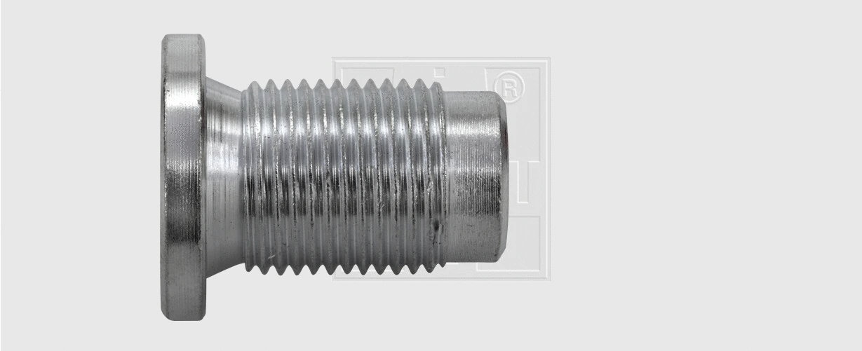 Screw Plug, oil sump (243181516)