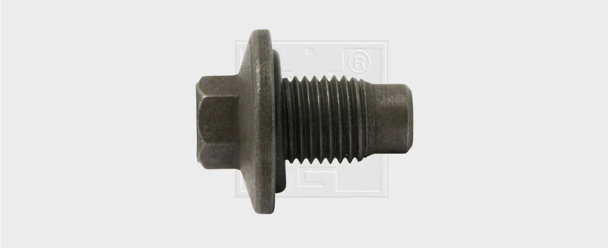 Screw Plug, oil sump (24314011516)