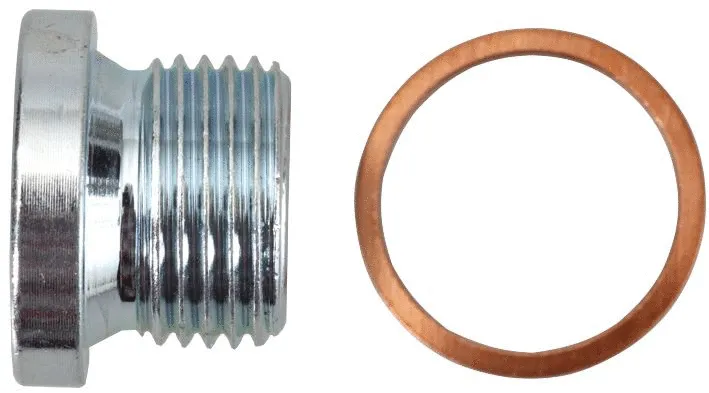 Screw Plug, oil sump (242181580)
