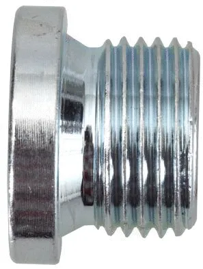 Screw Plug, oil sump (24200100416)
