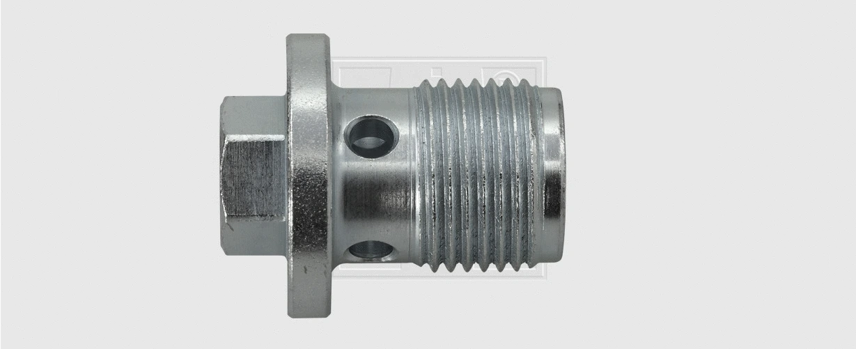 Screw Plug, oil sump (24300102316)