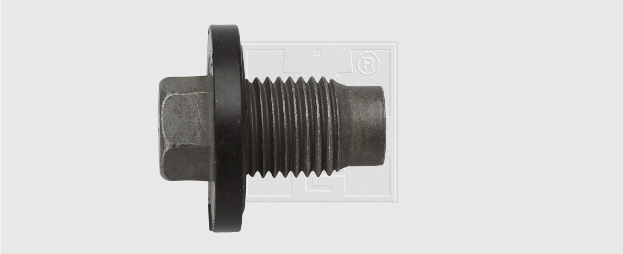 Screw Plug, oil sump (24300100216)