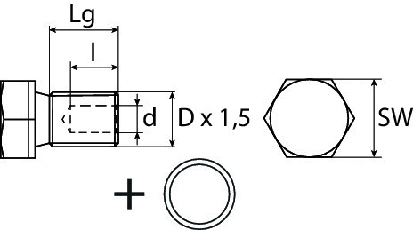 Screw Plug, oil sump