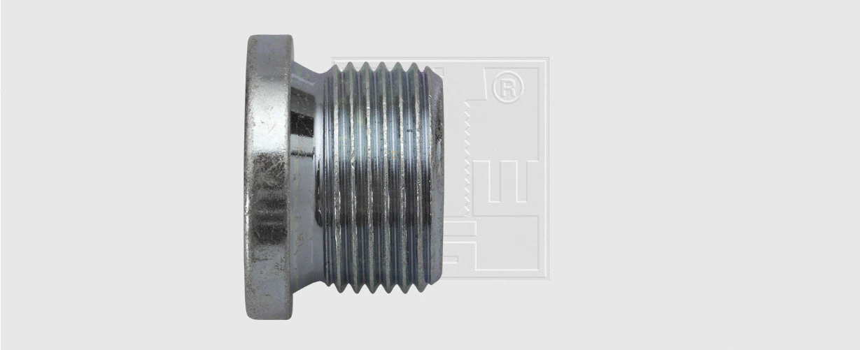 Screw Plug, oil sump (24300100316)