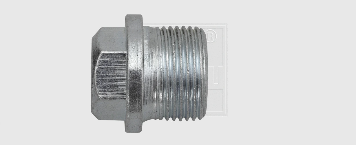 Screw Plug, oil sump (24100100416)