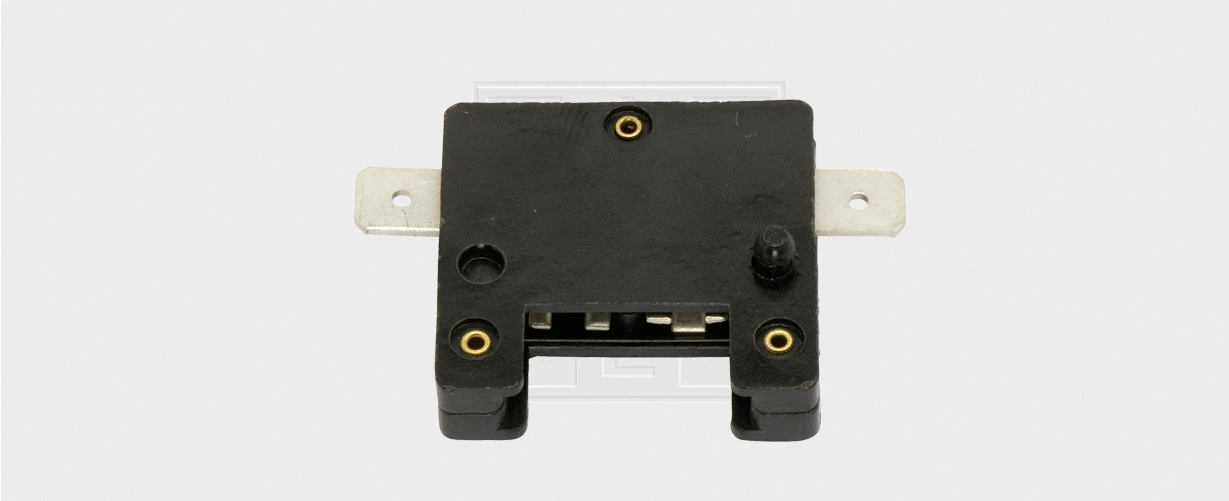 Fuse Holder (555625280)