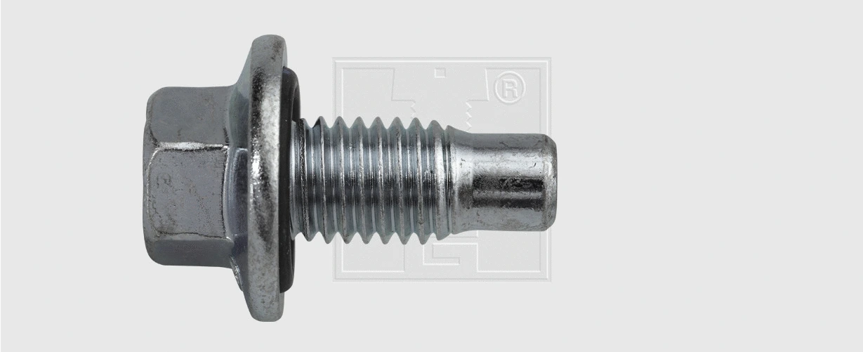 Screw Plug, oil sump (24000100116)
