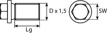 Screw Plug, oil sump