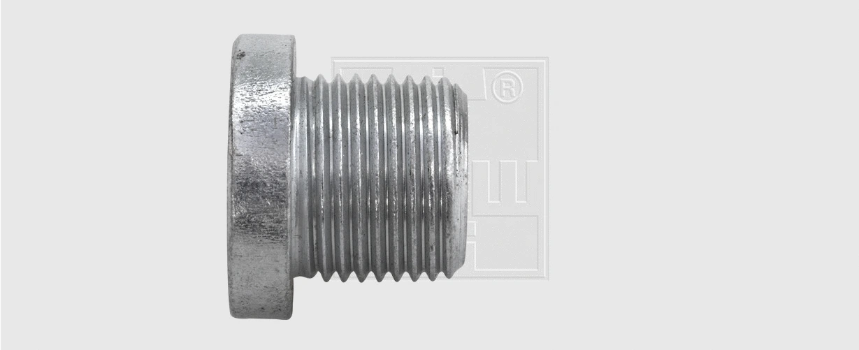 Screw Plug, oil sump (24300102216)