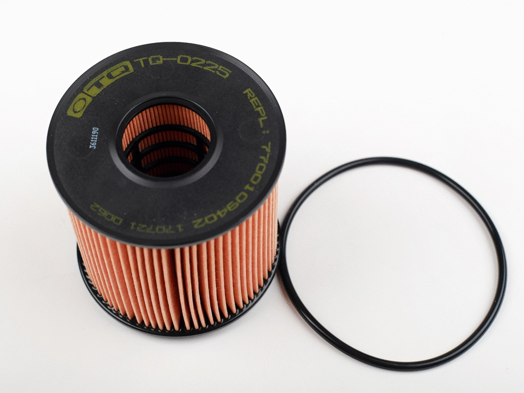 Oil Filter (TQ-O225)