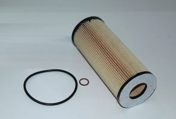 Oil Filter (TQ-FE044)