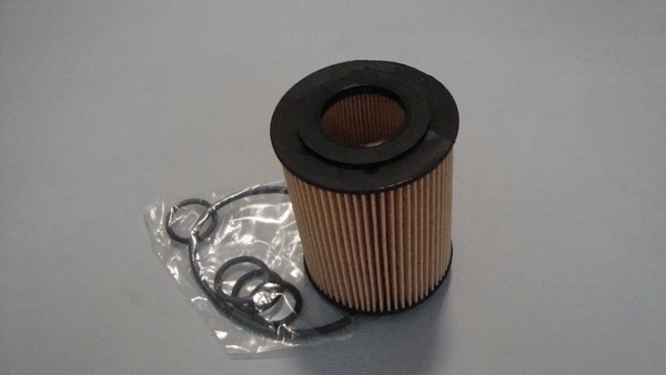 Oil Filter (TQ-FU1733)