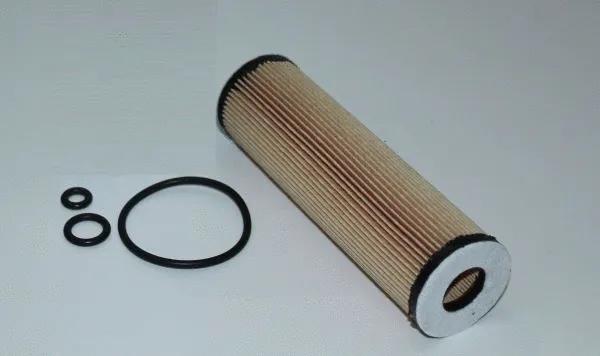 Oil Filter (TQ-FE098)