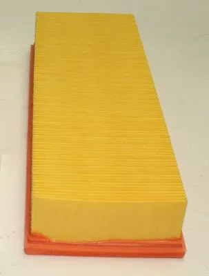 Air Filter (TQ-AF015)