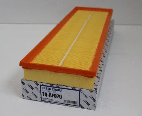 Air Filter (TQ-AF079)