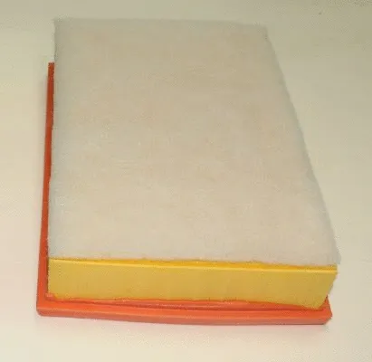 Air Filter (TQ-AF047)