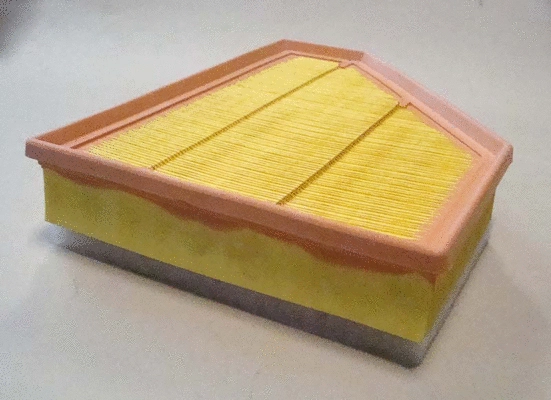 Air Filter (TQ-A3495)