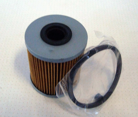 Fuel Filter (TQ-F147)