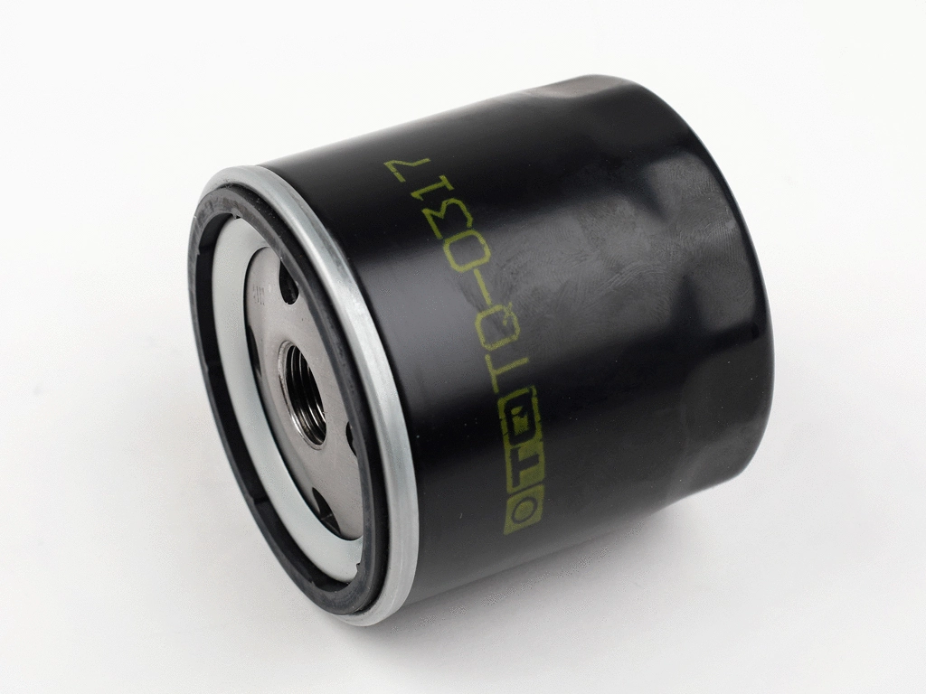 Oil Filter (TQ-O317)