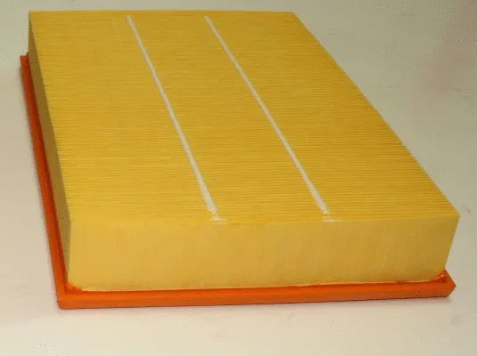 Air Filter (TQ-AF087)