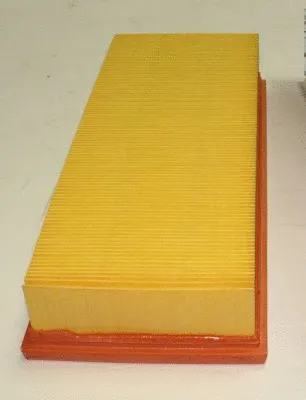 Air Filter (TQ-AF031)