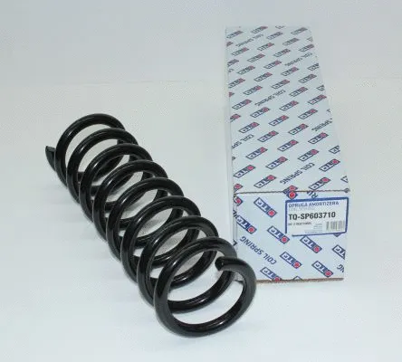 Suspension Spring (TQ-SP603710)