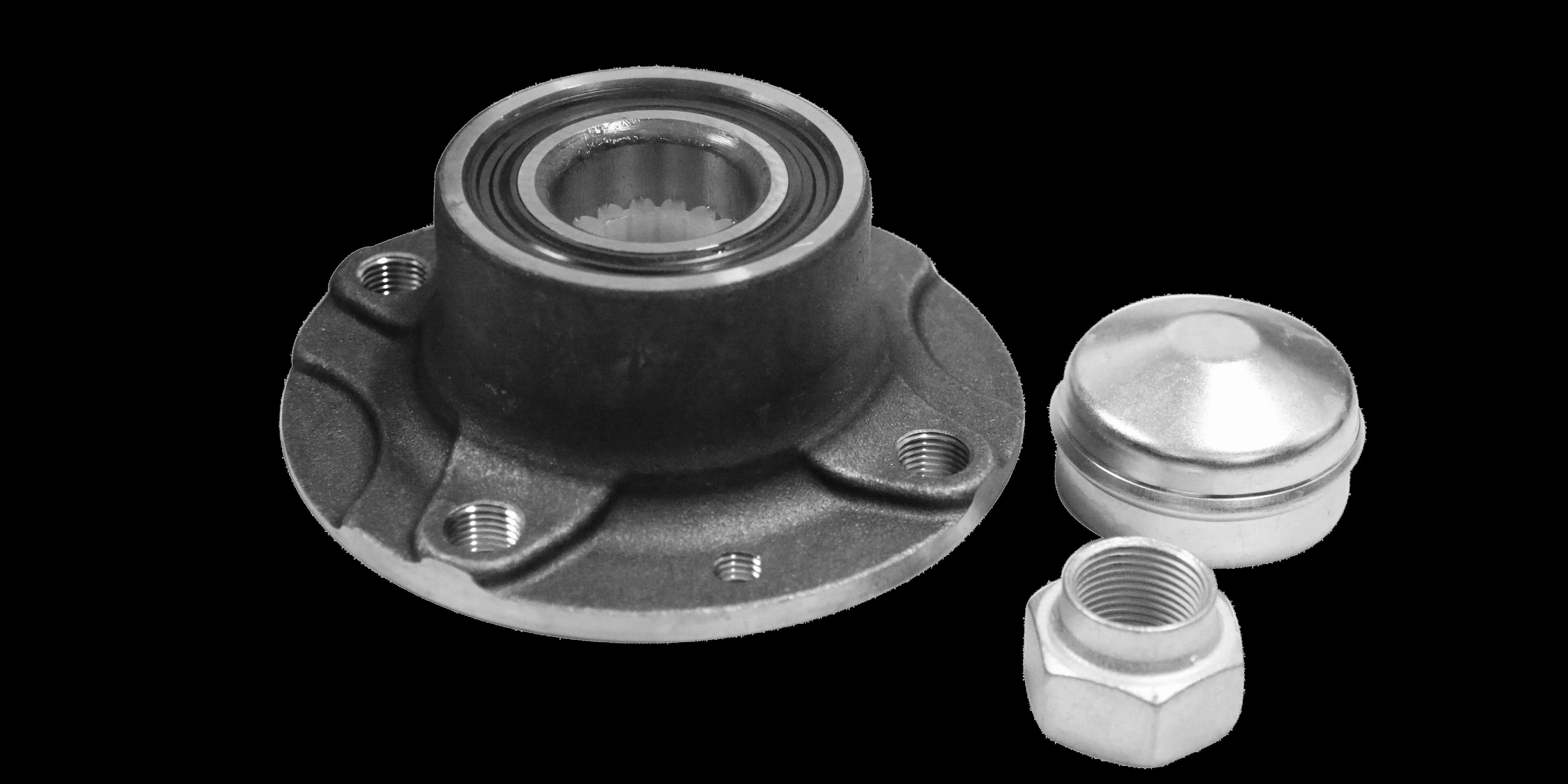 Wheel Bearing Kit (TQ-G9230002F)